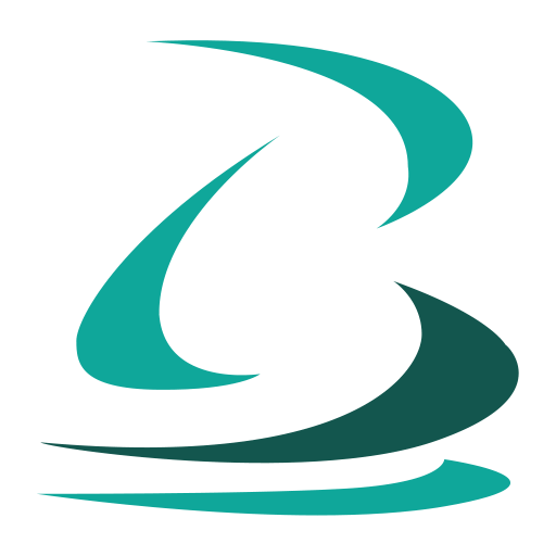 Barica Enterprise Logo