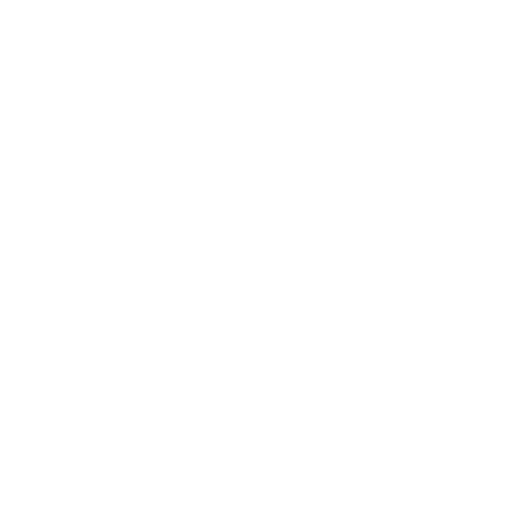 Barica Enterprise Logo White